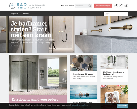 BadinBeeld Logo